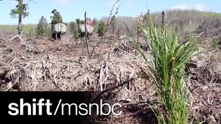 Making A Company 100% Sustainable | shift | msnbc