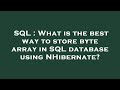 SQL : What is the best way to store byte array in SQL database using NHibernate?