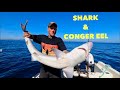 SHARK & CONGER EEL FISHING - Fishing from Cliffs & Boat