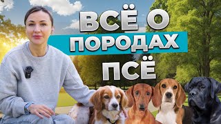 От Джек Рассела до Ретривера: обзор популярных пород. Особенности воспитания и характер. | ЛавГав