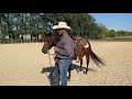 problem horse bucking part 3 of 3