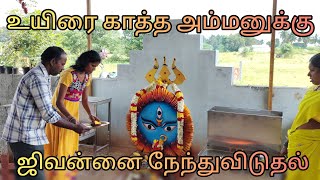 தீராத நோய்களைத் தீர்த்துக் கொடுக்கும் நவசக்தி அம்மன்