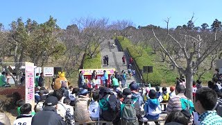 あんずフェスティバル２０１９　あんずの花に囲まれて、あんずの里、運動公園、福岡県