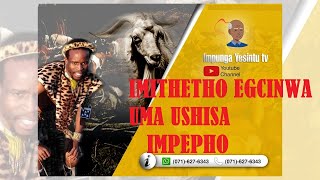 IMITHETHO EGCINWA UMA USHISA IMPEPHO