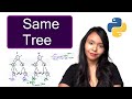 Same Tree Leetcode Python | 100 Same Tree Python