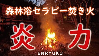 森林浴セラピー「焚き火」は、この感じ。自給の森@南伊豆 No.6