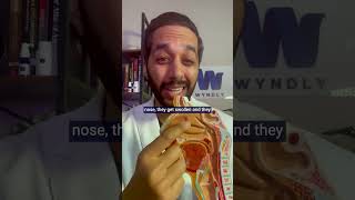 What Causes Nasal Congestion?