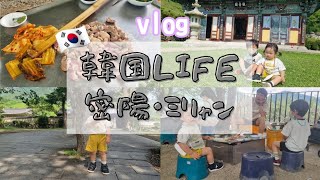 【vlog】韓国/ミリャン/鴨肉BBQを食べてお寺に行く編/브이로그/밀양/오리고기