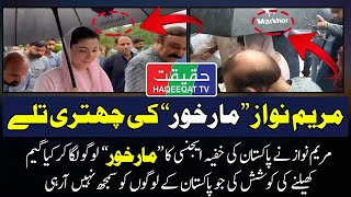 Why Maryam Nawaz is Holding Markhor Logo Umbrella With a Message