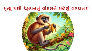 મૃત્યુ પછી દેહદાનનું વરદાન વાંદરાને કેવી રીતે મળ્યું ? #વાનર #વાંદરો #story #વાર્તા #varta #monkey