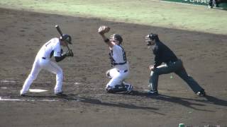 2016年プロ野球トライアウト　青松捕手　千葉ロッテマリーンズ関連選手　4