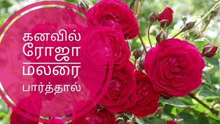 கனவில் ரோஜா மலரை பார்த்தால்( Kanavil roja malarai parthal)🌹🌹🌹