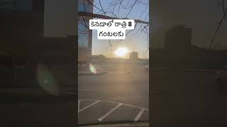 కెనడాలో రాత్రి 8 గంటలకు…still Sun is on fire 🔥 #canada #halifax