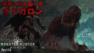 おばさまに害成すオドガロンに鉄槌を【MHW実況】Part13