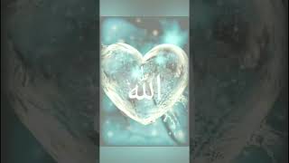 Muhammad Nabi na ❤️💐#viral #islamicvideo #trendingvideo😍