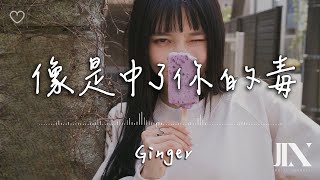 Ginger l 像是中了你的毒【高音質 動態歌詞 Lyrics】