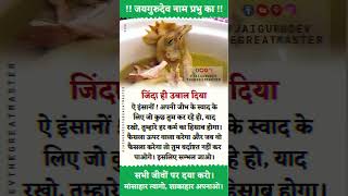 जिंदा ही उबाल दिया..मांस मत खाओ, Vegan बनो | जयगुरुदेव शाकाहारी प्रचार Jaigurudev Shakahari Prachar