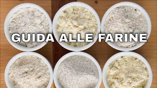 Guida alle farine | Corso di Panificazione | Tutorial Italiano