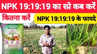 NPK 19:19:19 का फसलों में स्प्रे कब करें, कितना करें//NPK 19:19:19 ke fayde