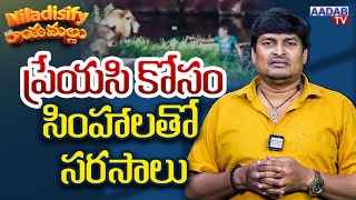 ప్రేయ‌సి కోసం సింహాల‌తో స‌ర‌సాలు | Man in lion Cage india | Niladisify with Rayamallu