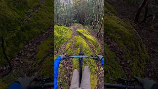 Beautiful trail through mossy rocks and arbutus trees on Vancouver Island 🏝️ #mtbbc #enduro