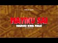 Mayiku Sai Harusi Ya Male(Official Audio) JumaMacomputerNzegaKingdomTv