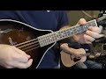 swallowtail jig guitar and mandolin