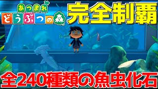 全240種類の生物と化石を入手して博物館を完成させるまで終われない無人島生活!! #2【あつまれどうぶつの森】