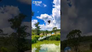 ලංකාවේ කොල්ලෙක් 🔥😱 කොහොමද වැඩ 🔥 #srilanka #tiktok #sinhala #viral