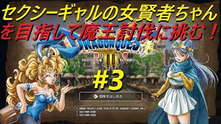 【DQ3リメイク】ネタバレあり。ノアニール地方にやって来た！その3