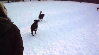 M4H06009.MP4