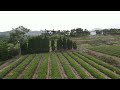 52L BROUAV agricultural spray drones