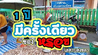 ปลาท่องเที่ยว ของดีเมืองควนเนียง 1ปี มีครั้งเดียว |ของหรอยจากทะเลสาบสงขลา