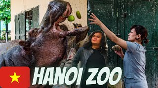 Hanoi Zoo, Thu Le Park, Hanoi; Vietnam 🇻🇳 #zoo #hanoi #vietnam