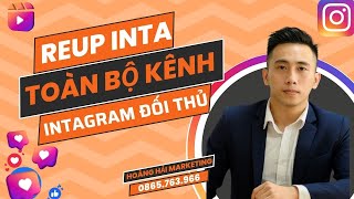 Giới Thiệu Tool Tải Hàng Loạt Video Intragram Để Reup Kiếm Tiền Cho AE