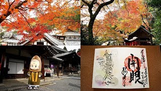 のこ坊＆のこ朱印 at 紅葉の柳谷観音 楊谷寺