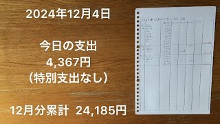 【家計簿】2024年12月4日 今日の支出/もうすぐボーナス支給の時期。とりあえず貯金。でも、もっと現実的な「ボーナスの使い道ランキング」が。１位所得税！２位厚生年金保険料！３位健康保険料！