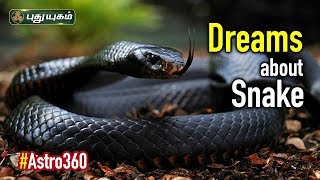 Facts about Dreams | கனவில் பாம்பு வந்தால் | Astro 360 | 13/09/2019 | PuthuyugamTV