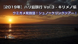 【2019年】バリ島旅行 Vol.3 - ギリメノ編　ウミガメ見放題！シュノーケリングツアー！