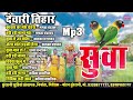 देवारी तिहार सुवा गीत suwa geet jukebox top 10 cg song diwali special