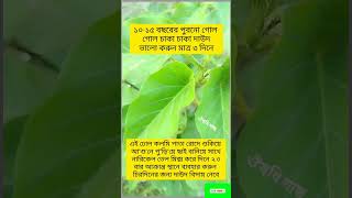 #trendingshorts #shortvideo #vairalvedo #এরকম ভিডিও পেতে চেনেলটি সাবস্ক্রাইব করুন ধন্যবাদ ❤️❤️❤️❤️❤️