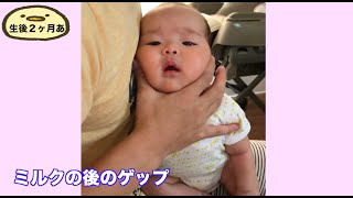 赤ちゃんのゲップ5連発！授乳後の豪快なゲップが可愛い！Baby burps 生後２〜３ヶ月