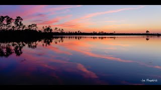 Photographing in Everglades National Park
