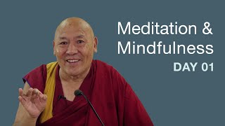 Meditation & Mindfulness | Day 01