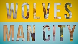 Wolves 1-1 Man City | Alternative Highlights