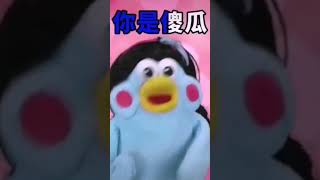 西瓜 冬瓜 哈密瓜