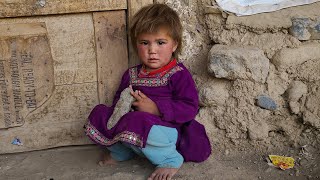 Primitive organic cave living like 2000 years ago | Afghanistan village life