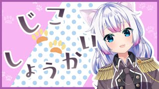 【智奈ちほ】自己紹介です！【ビックなカメラさん大好きです】