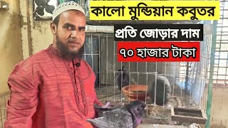 কালো মুন্ডিয়ান কবুতর প্রতি জোড়ার দাম ৭০ হাজার টাকা #রূপালী_কৃষি