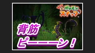 【New ポケモンスナップ リクエスト攻略】\